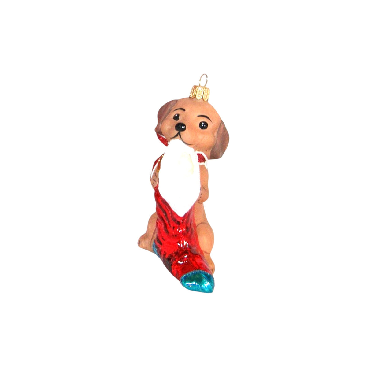 2020 Adorable Dachshund (Puppy)