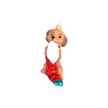 2020 Adorable Dachshund (Puppy)
