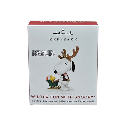 2020 Winter Fun with Snoopy (Winter Fun with Snoopy)