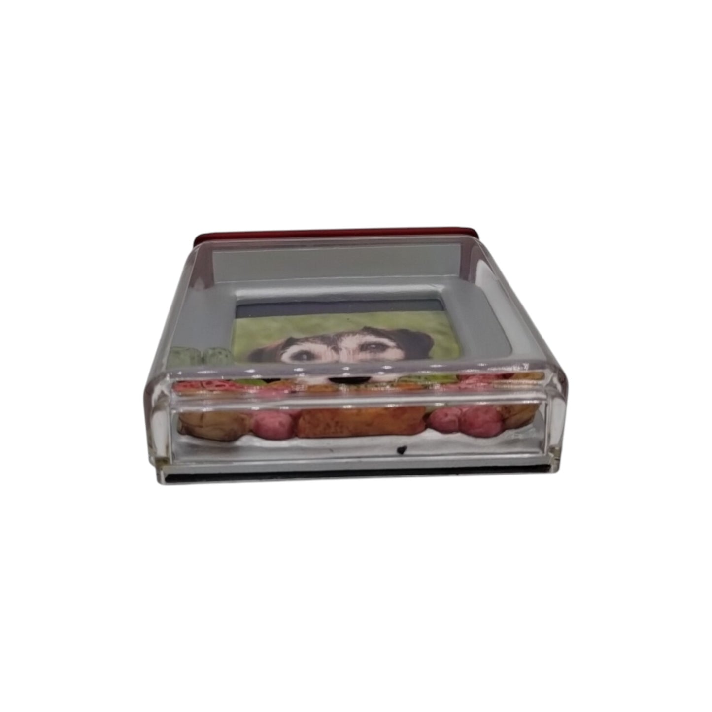 2009 Special Dog (Photo Holder)