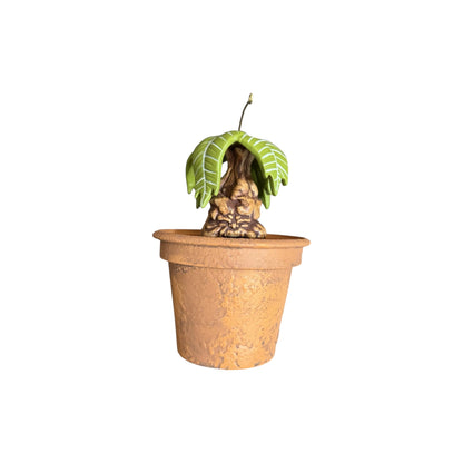2025 Mandrake (Harry Potter)