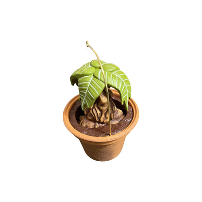 2025 Mandrake (Harry Potter)