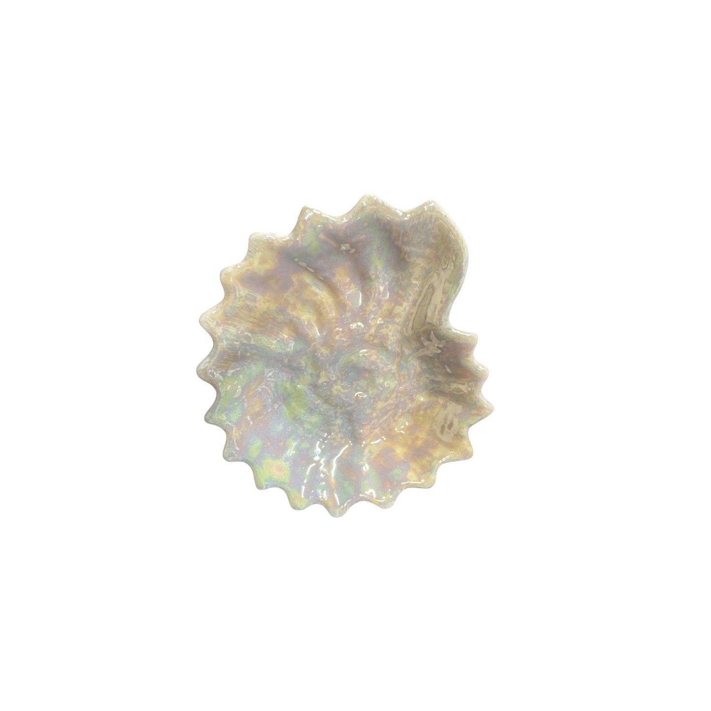 2008 Nautilus Ocean Shell (Signature Series)