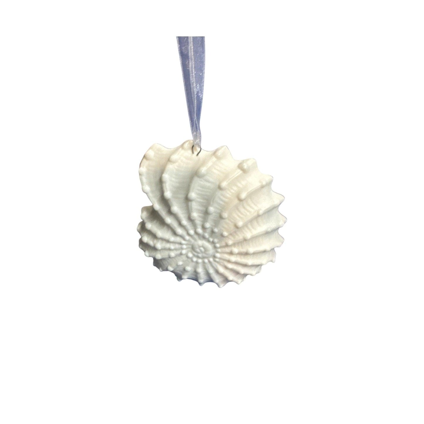 2008 Nautilus Ocean Shell (Signature Series)