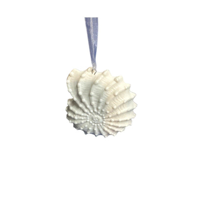 2008 Nautilus Ocean Shell (Signature Series)