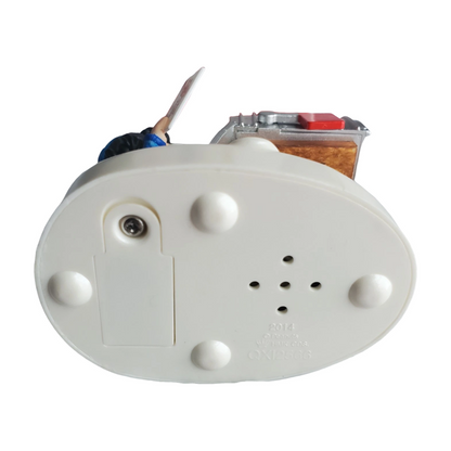 2014 Snoopy's Christmas Greeting! (Peanuts)