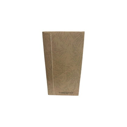 1995 Angel of Light (Angel)