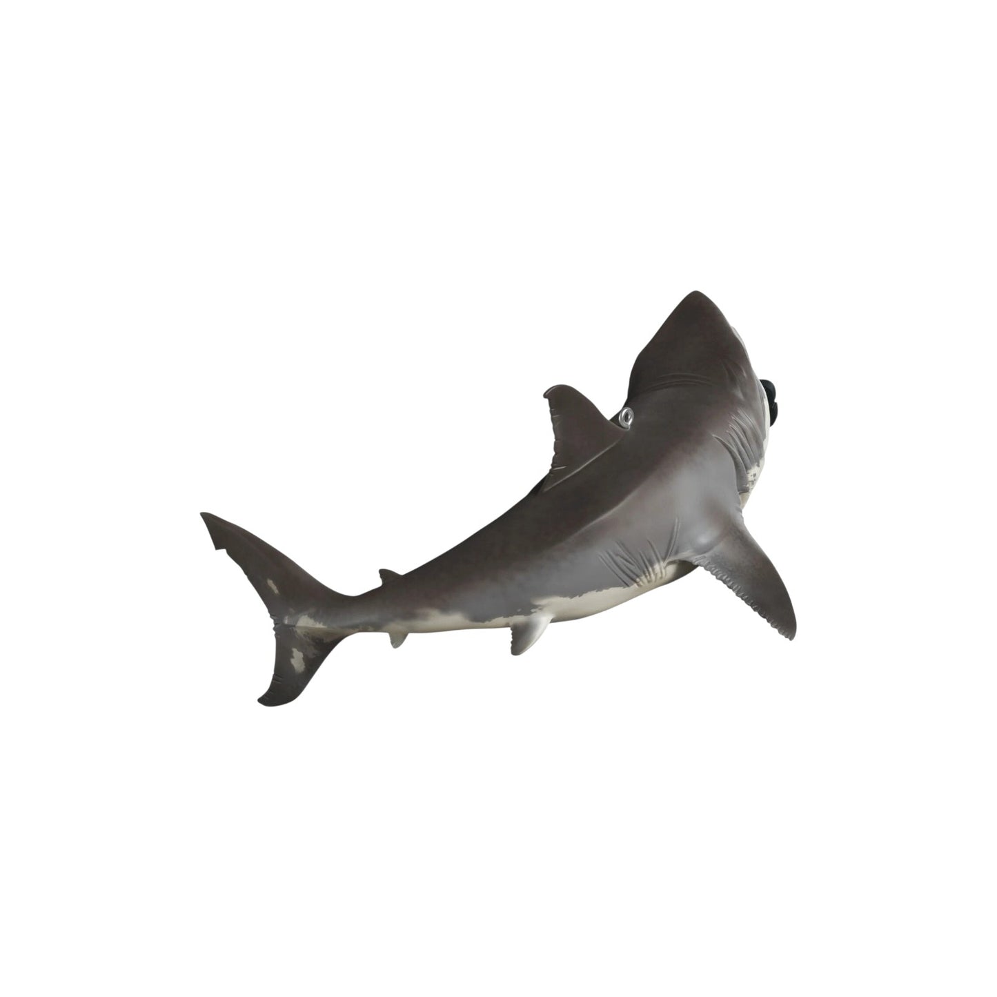 2025 Shark Week (Shark Week)