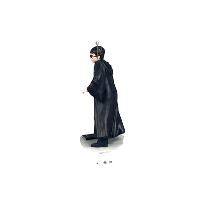 2025 Harry Potter and the Chamber of Secrets (Harry Potter)