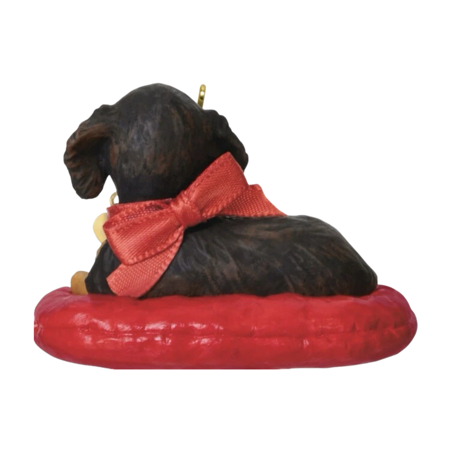 2025 Long-Haired Dachshund (Puppy Love) QXR8755