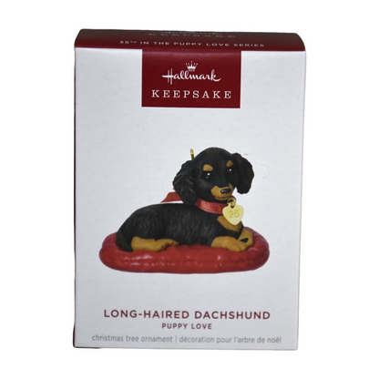 2025 Long-Haired Dachshund (Puppy Love) QXR8755