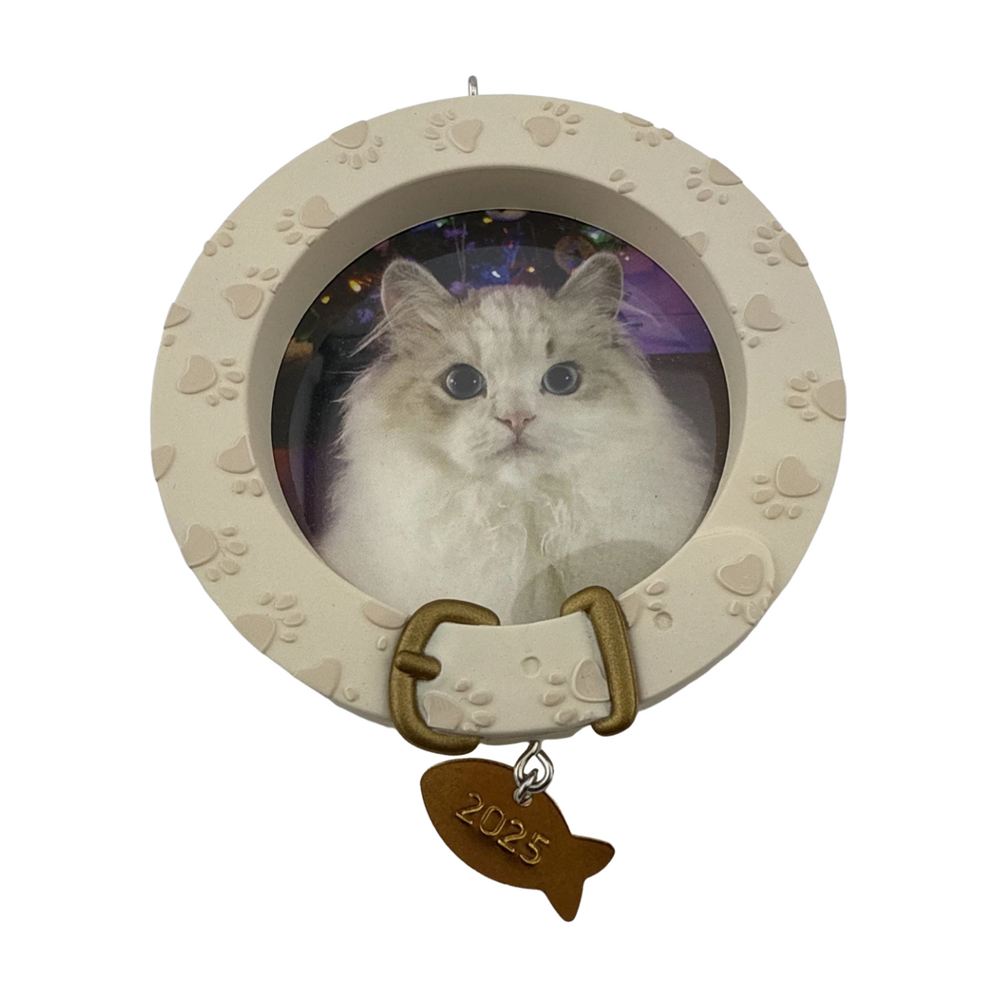 2025 Furry Friend () QGO1582