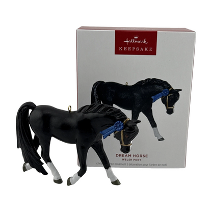 2025 Dream Horse Welsh Pony () QGO1532