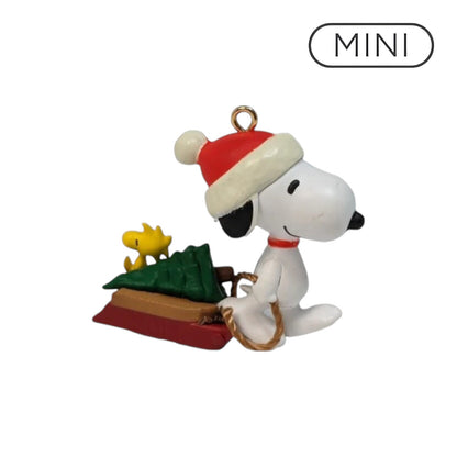 2012 Winter Fun with Snoopy (Winter Fun with Snoopy)