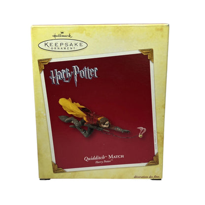 2005 Quidditch Match (Harry Potter)
