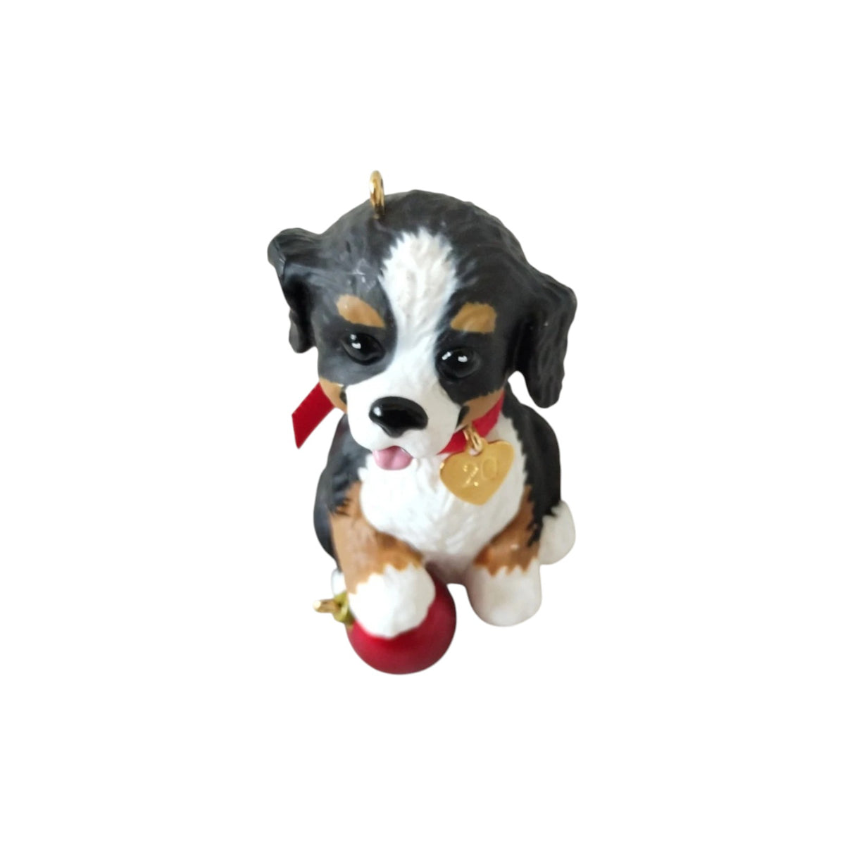 2020 Australian Shepherd (Puppy Love)