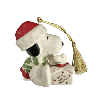 2005 A Surprise for Snoopy (Peanuts)