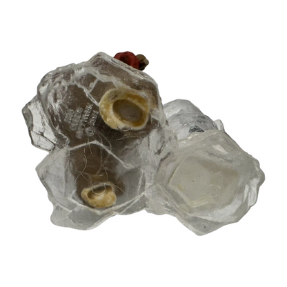 1981 The Ice Sculptor (Teddy Bear)