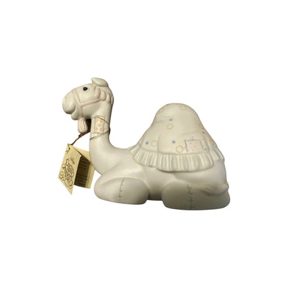 1982 Camel (Animal)