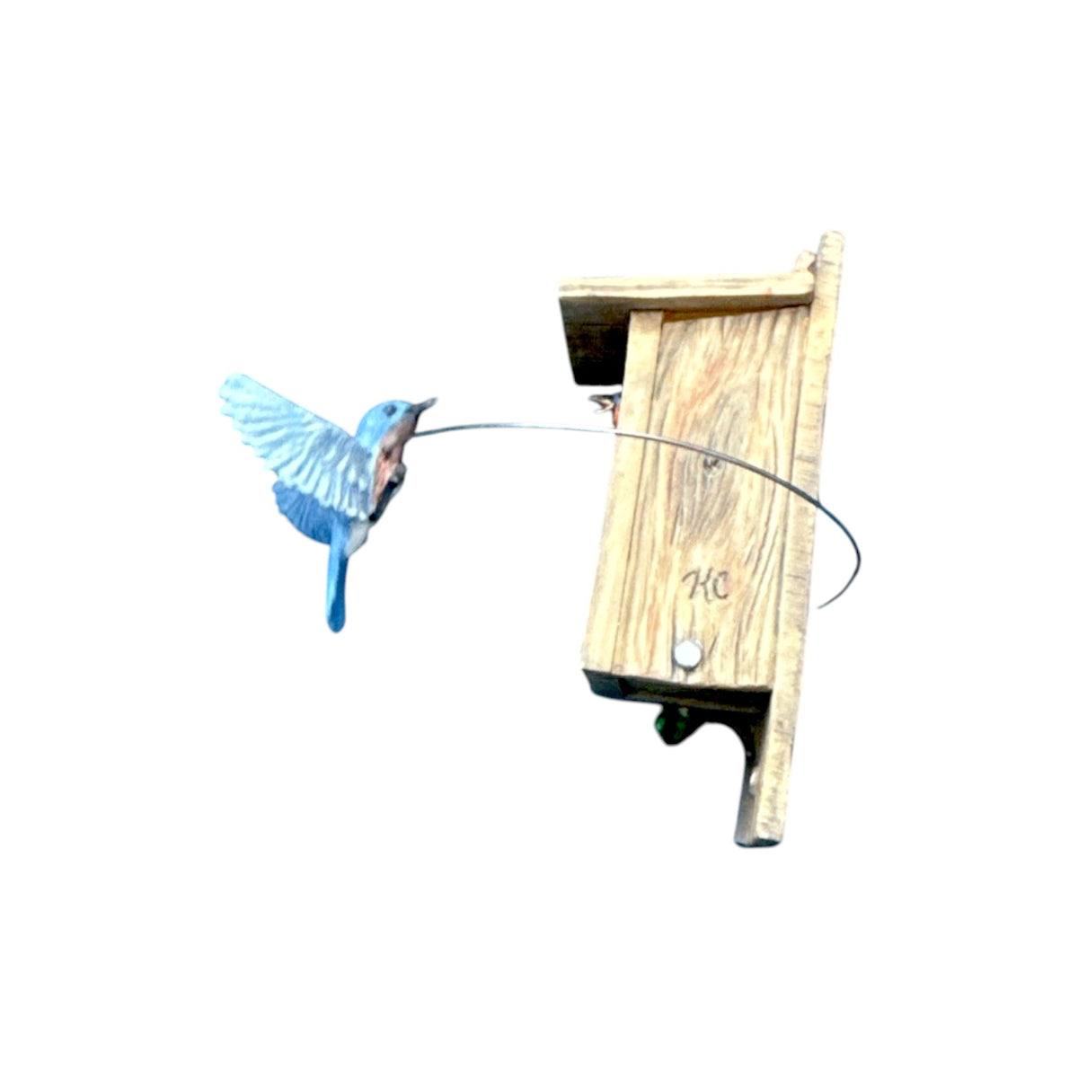 2000 Eastern Bluebird (Spring is in the Air)