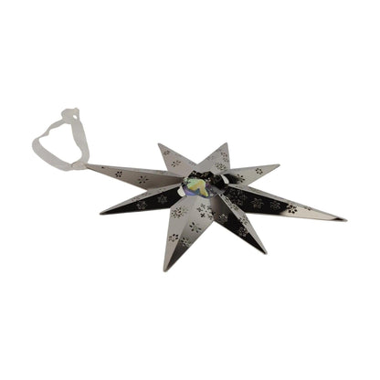 2010 Christmas Star (Snowflake)