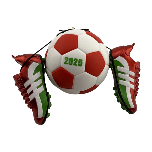 2025 Soccer Star () QGO1542