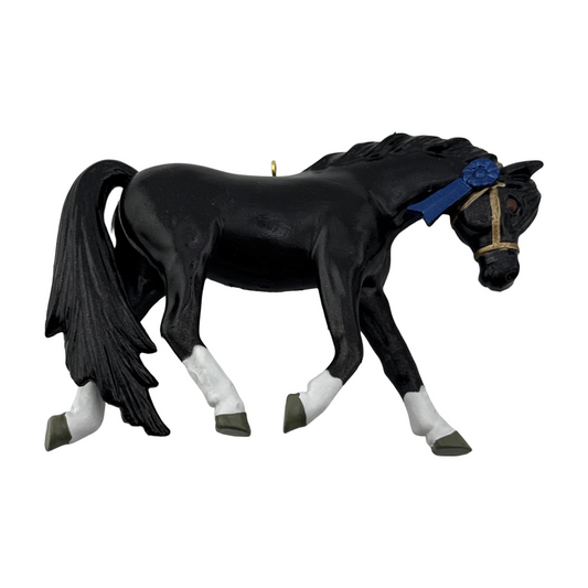 2025 Dream Horse Welsh Pony () QGO1532