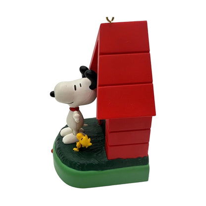 2010 In the Groove (Peanuts)