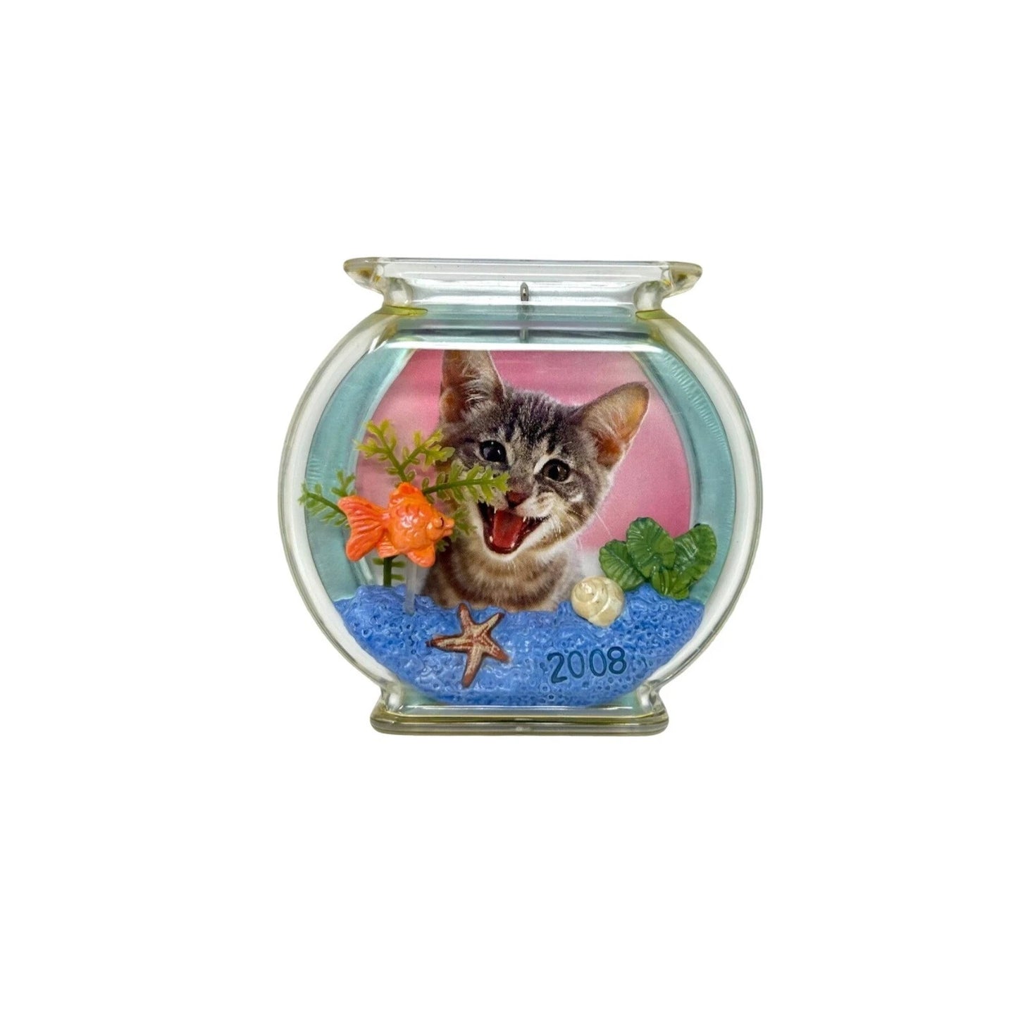 2008 The Curious Kitty (Kitty)