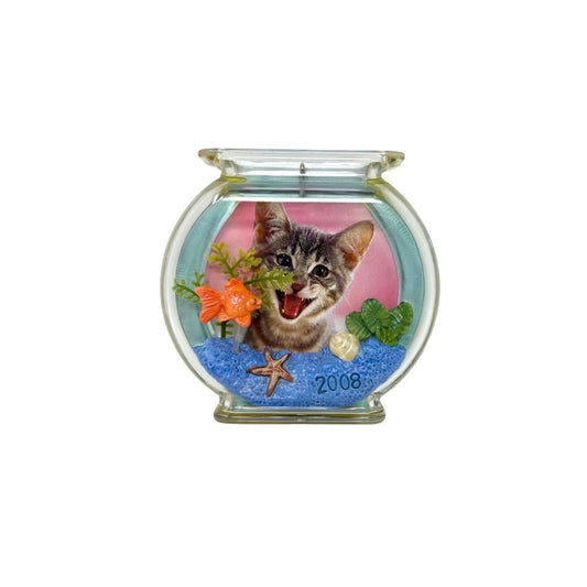 2008 The Curious Kitty (Kitty)