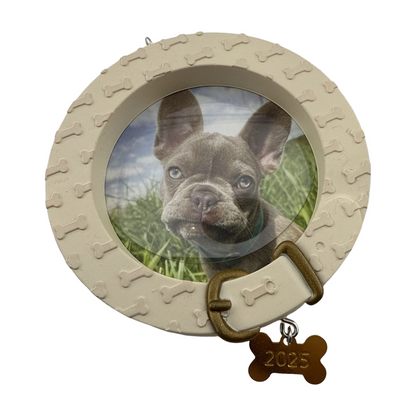 2025 Furry Friend () QGO1582
