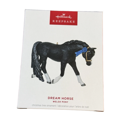 2025 Dream Horse Welsh Pony () QGO1532