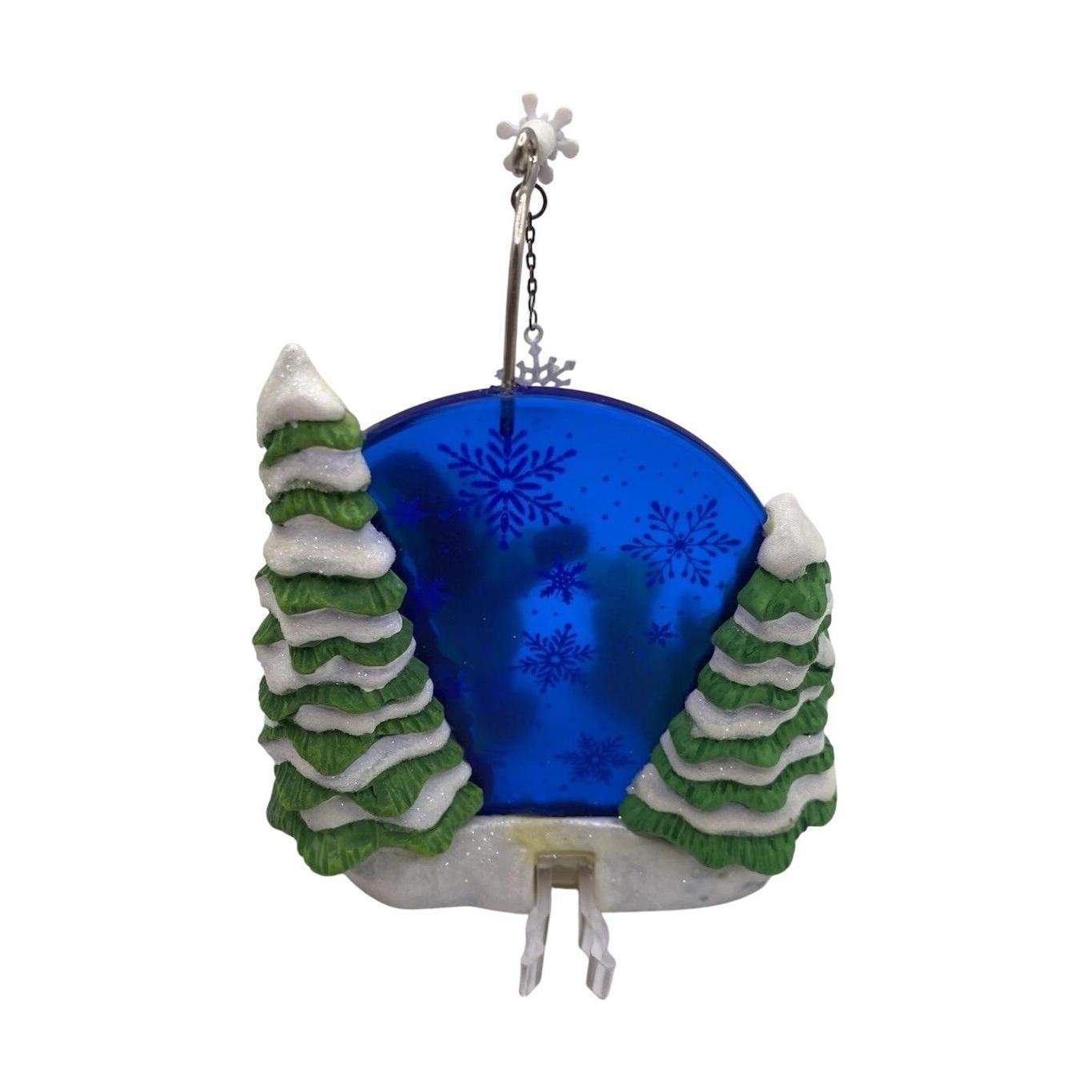 2006 Catching Snowflakes (Snowflake)