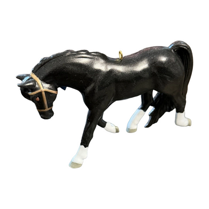2025 Dream Horse Welsh Pony () QGO1532