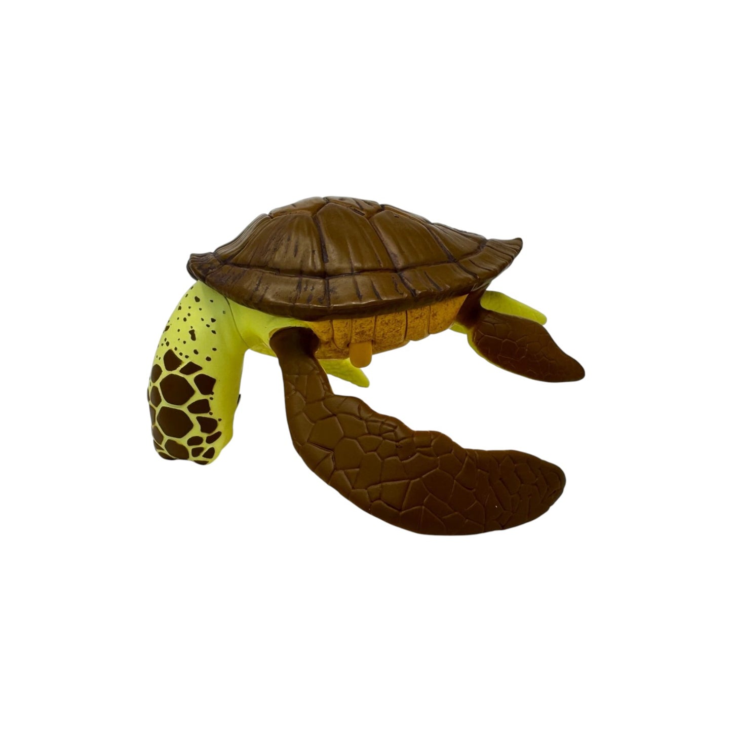 2020 Crush (Finding Nemo)