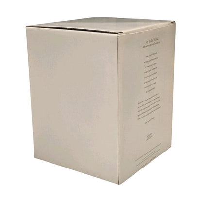 2007 Interactive Musical Decoration (Joy to the World)