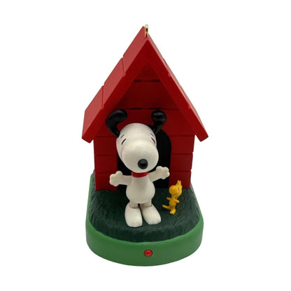 2010 In the Groove (Peanuts)