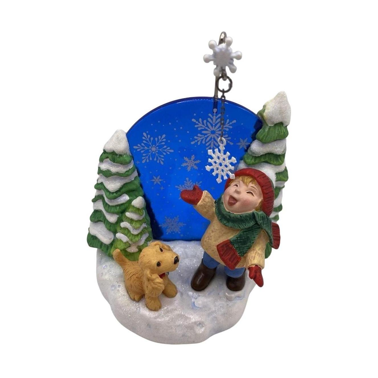 2006 Catching Snowflakes (Snowflake)