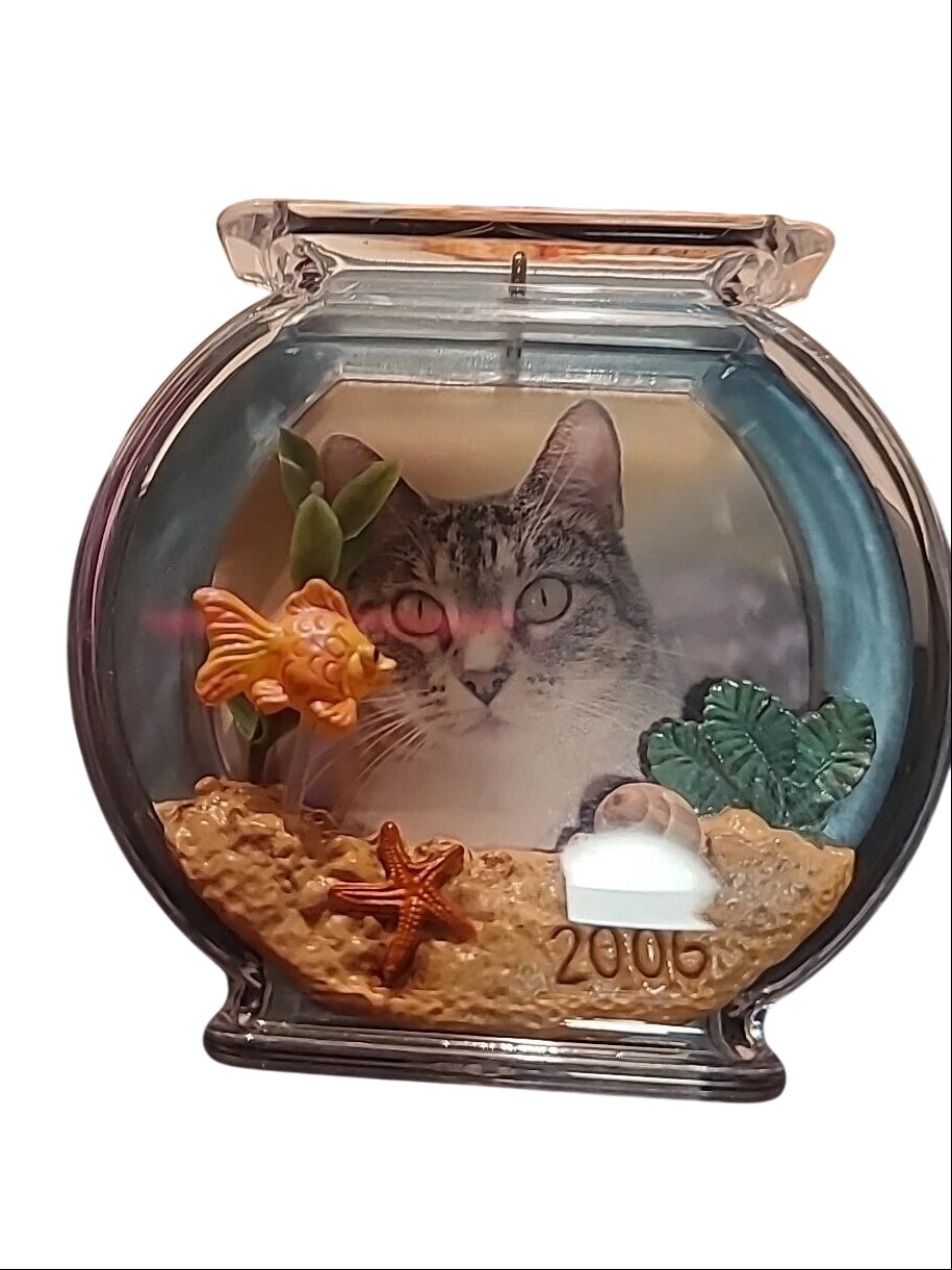 2006 Special Cat (Cat)