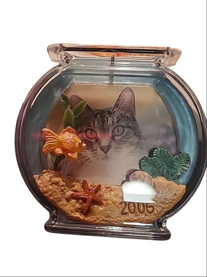 2006 Special Cat (Cat)