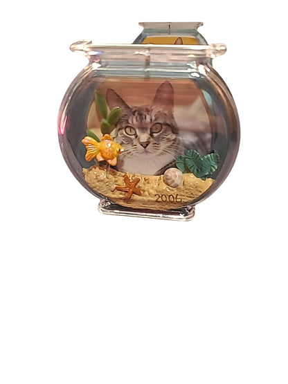 2006 Special Cat (Cat)