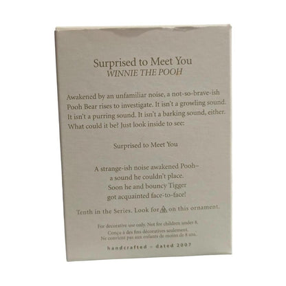 2007 Surprised to Meet You (Winnie the Pooh)