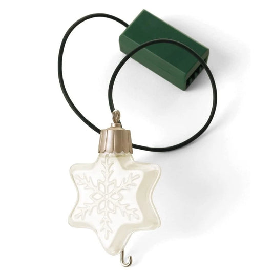 2011 Ornament Spotlight (Star)