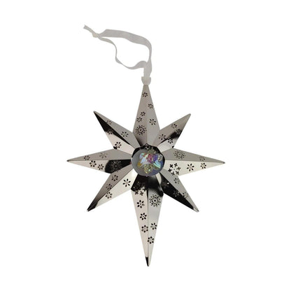 2010 Christmas Star (Snowflake)