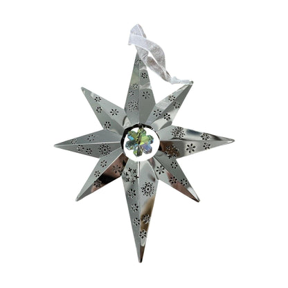 2010 Christmas Star (Snowflake)